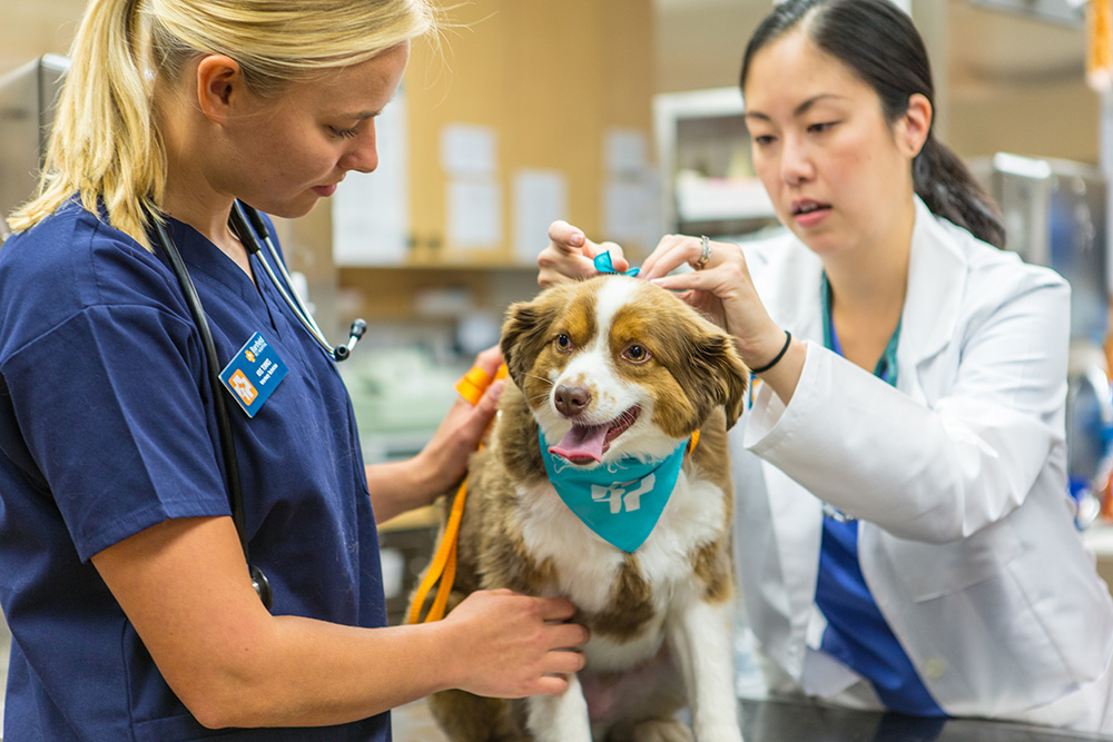 Our Core values Static Image